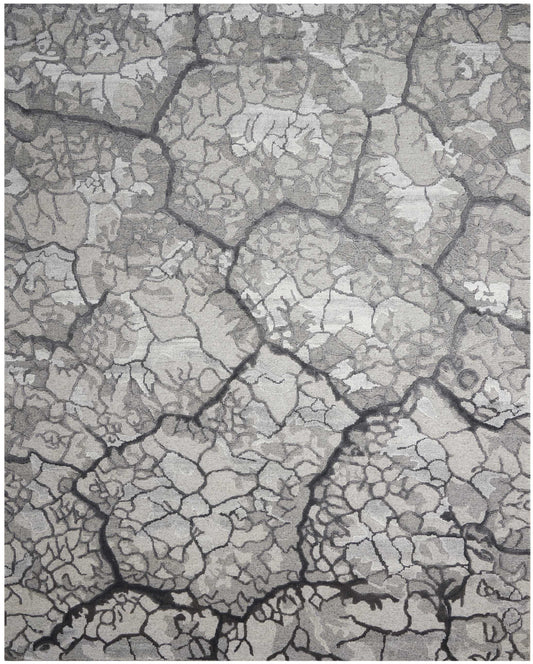 Close-up of cracked, parched gray mud soil with mosaic pattern and dry, rugged texture.