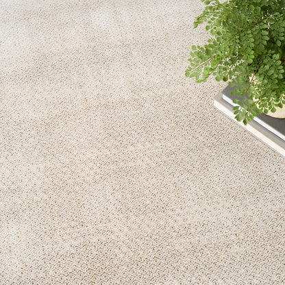 Beige textured rug with a subtle diamond pattern; green leafy plant atop a stack of books in the top-right corner.