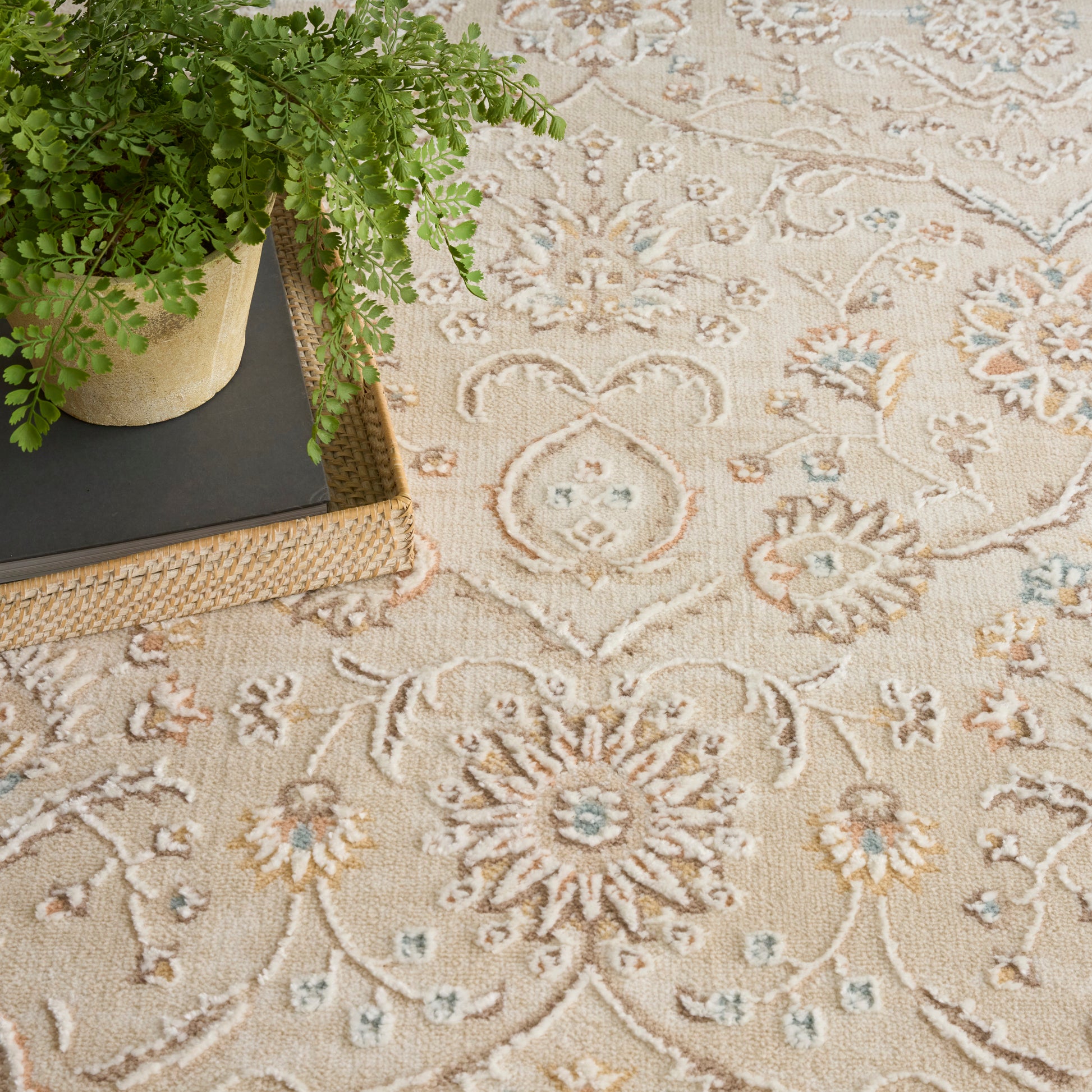 Beige decorative rug with blue floral medallions and scrolling motifs, with a potted fern on a woven tray.