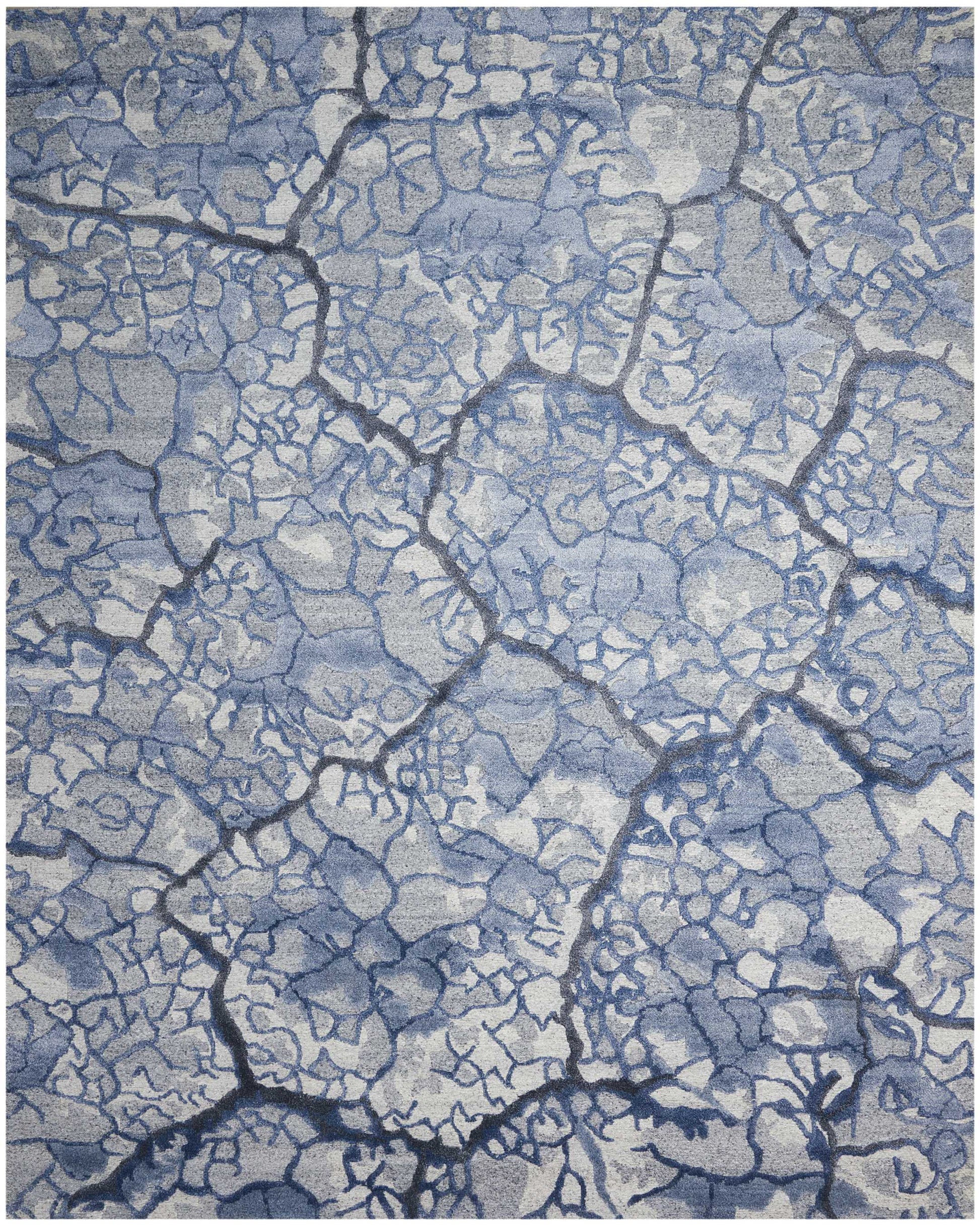 Blue-tinted cracked mud texture with irregular polygon patterns of parched earth.