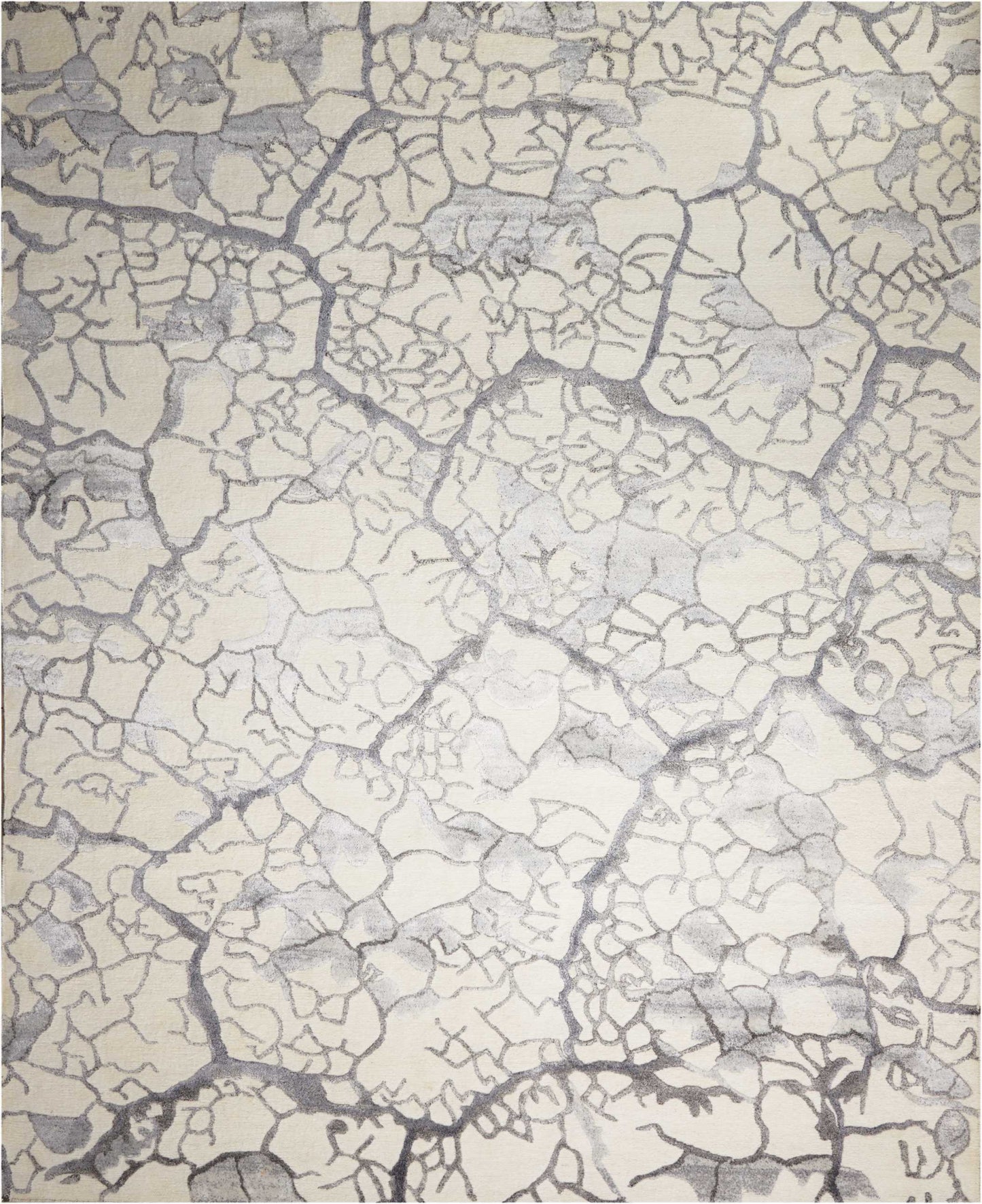 Close-up of cracked parched earth in pale gray and white tones with dark fissure lines.