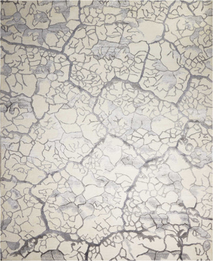 Close-up of cracked parched earth in pale gray and white tones with dark fissure lines.