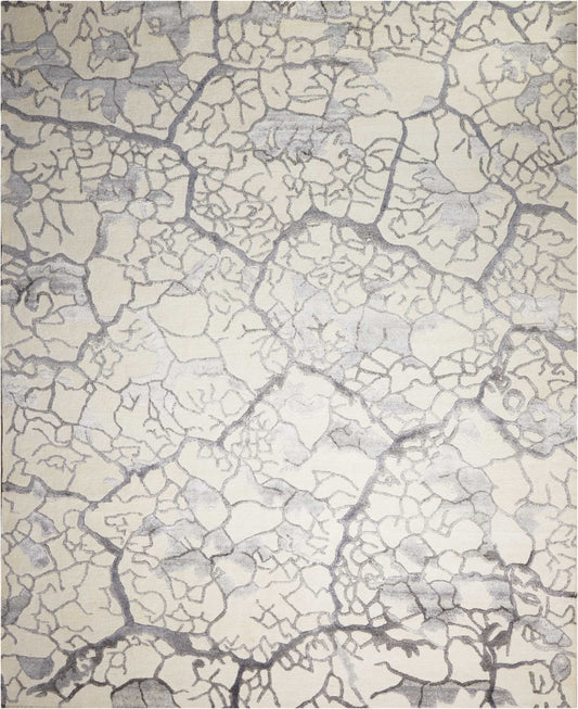 Close-up of cracked parched earth in pale gray and white tones with dark fissure lines.
