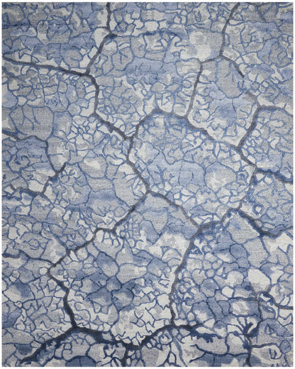 Cracked blue-gray dry mud surface with irregular polygonal patterns and dark fissures.