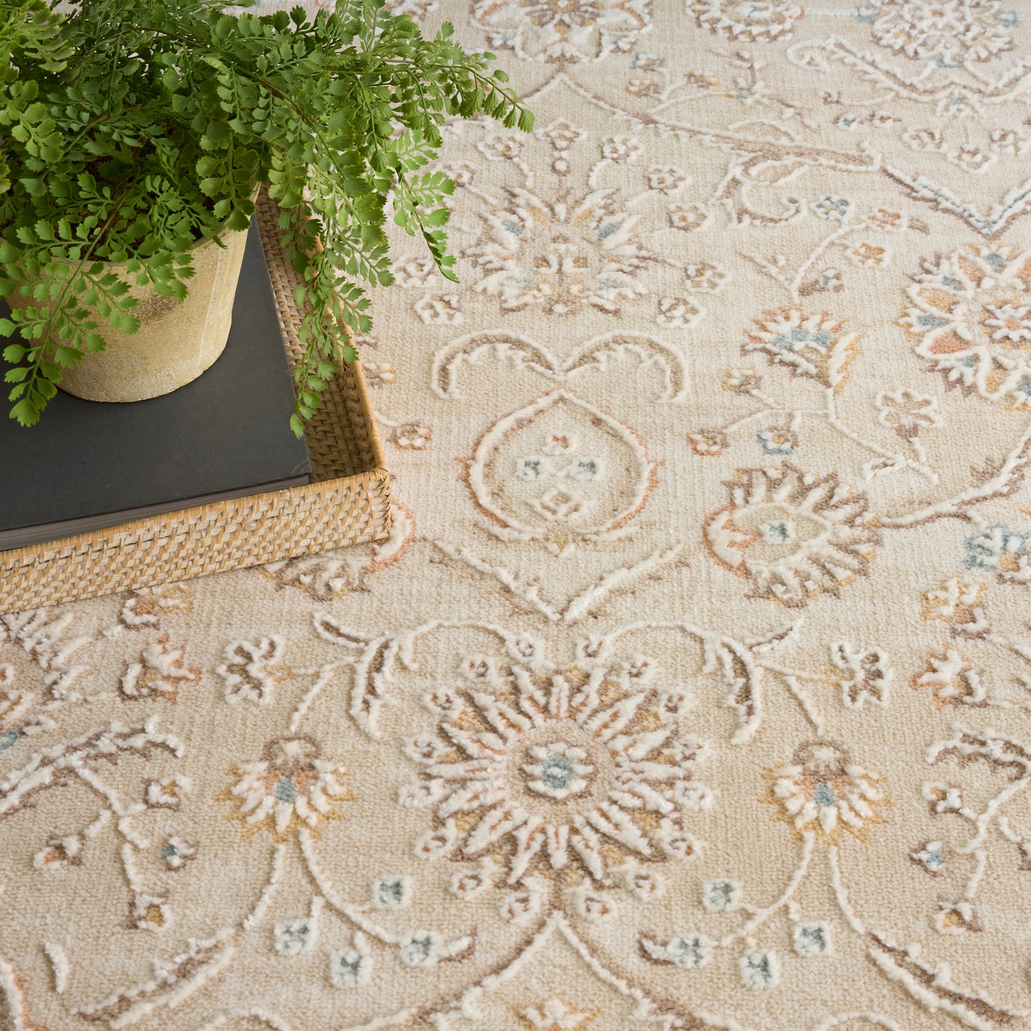 Beige oriental-inspired floral rug with blue and orange accents; potted fern on a woven tray.